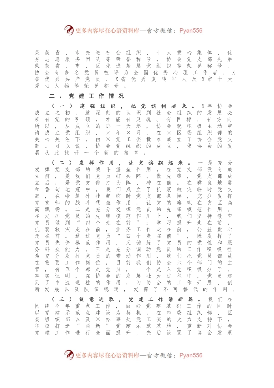 市协会党支部党建工作情况汇报.docx_第2页