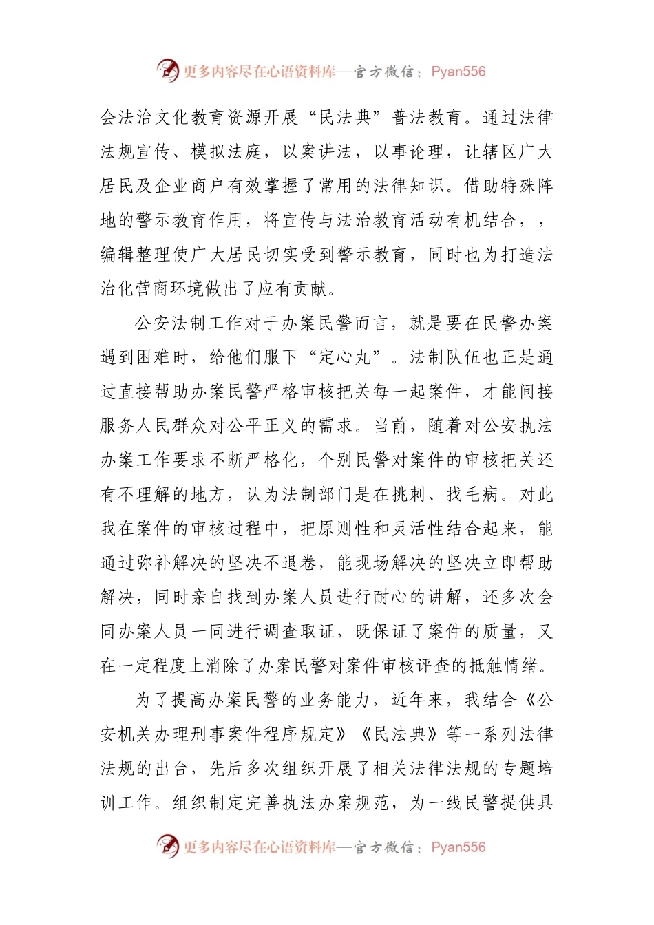 市GA局副支队长个人工作总结.docx_第2页
