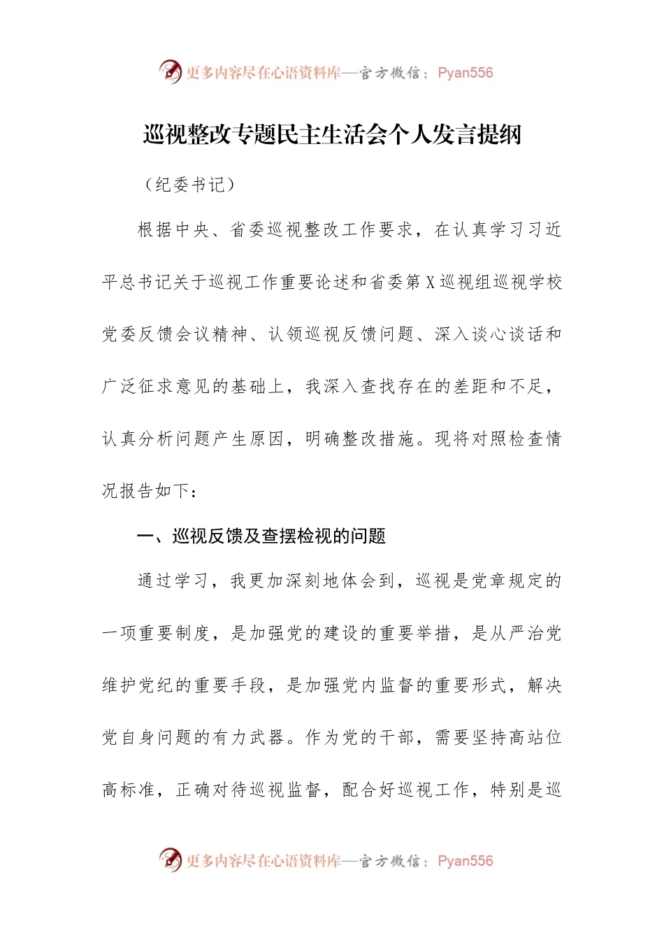 巡视整改专题民主生活会个人发言提纲.docx_第1页