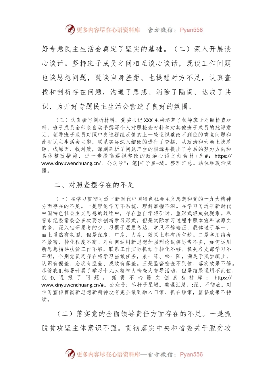 巡视反馈意见整改专题民主生活会班子对照检查材料.docx_第2页