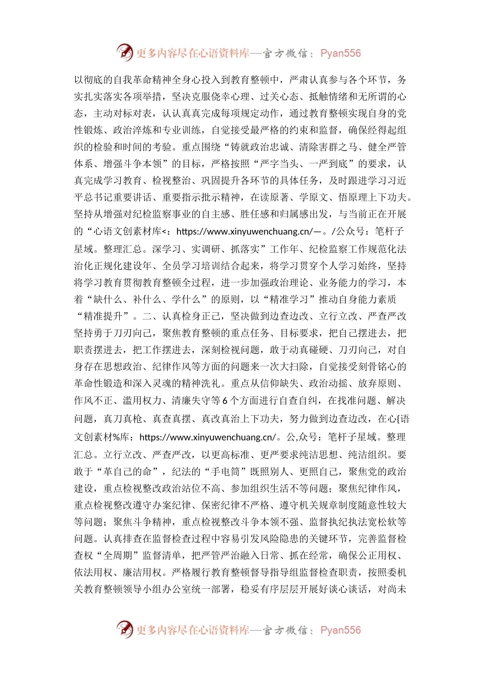 在纪检监察干部教育整顿研讨会上的发言材料.docx_第2页