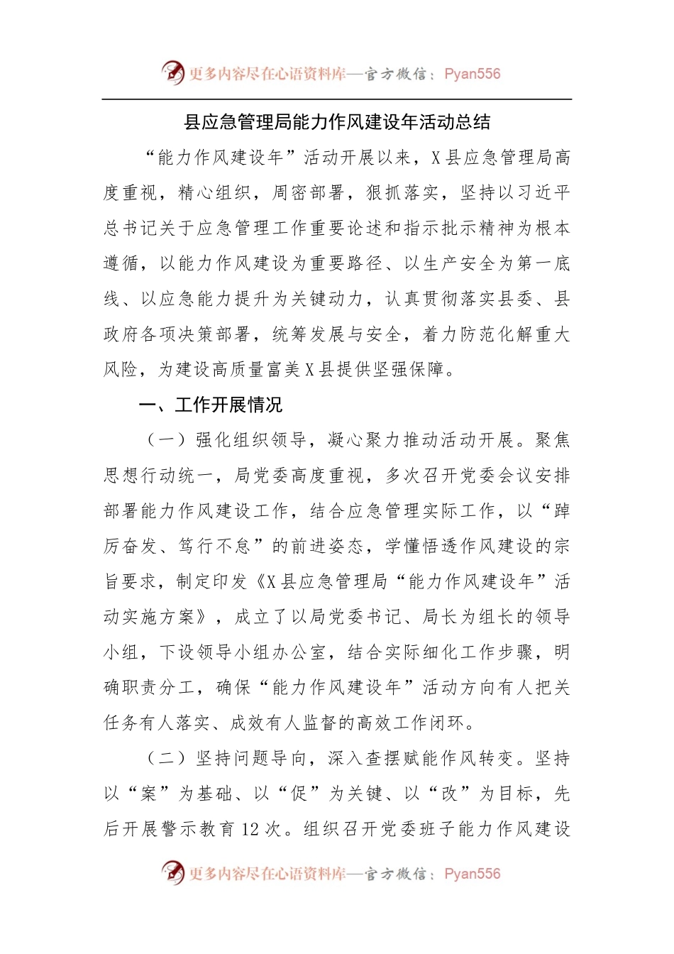 局能力作风建设年活动总结.docx_第1页