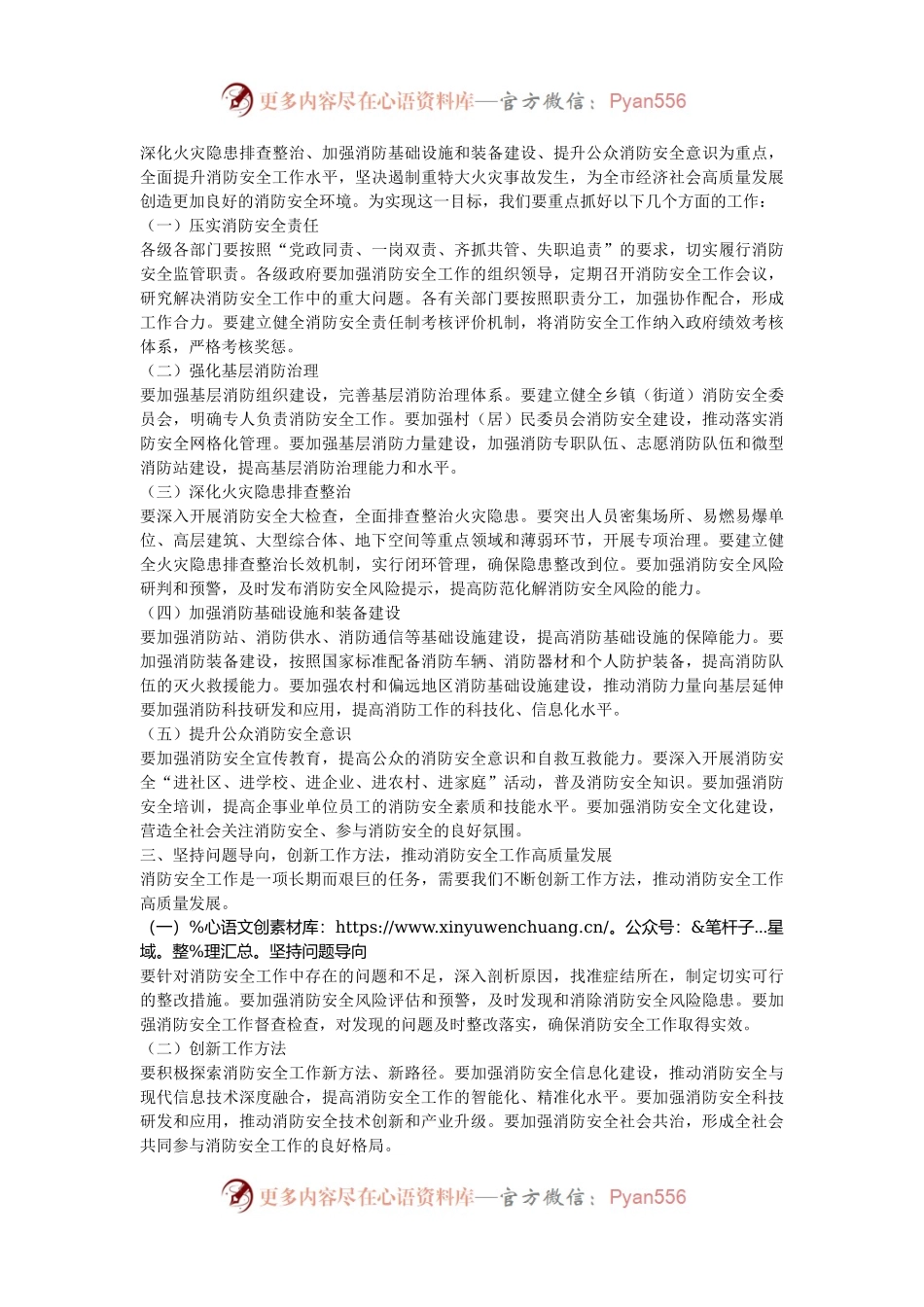 局长在2024年全市消防安全专项提升工作推进会上的讲话.docx_第2页