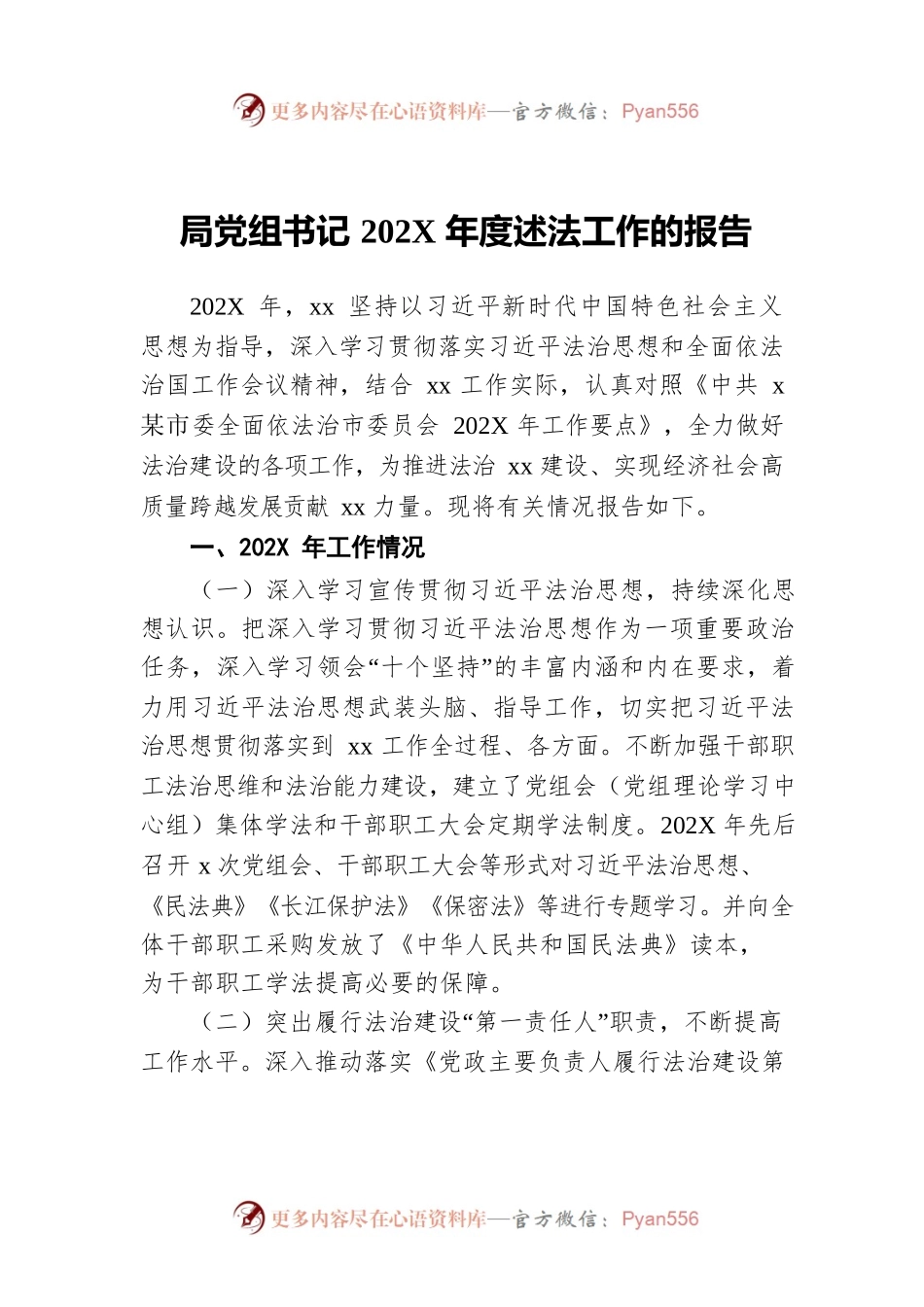 局党组书记202X年度述法工作的报告.docx_第1页