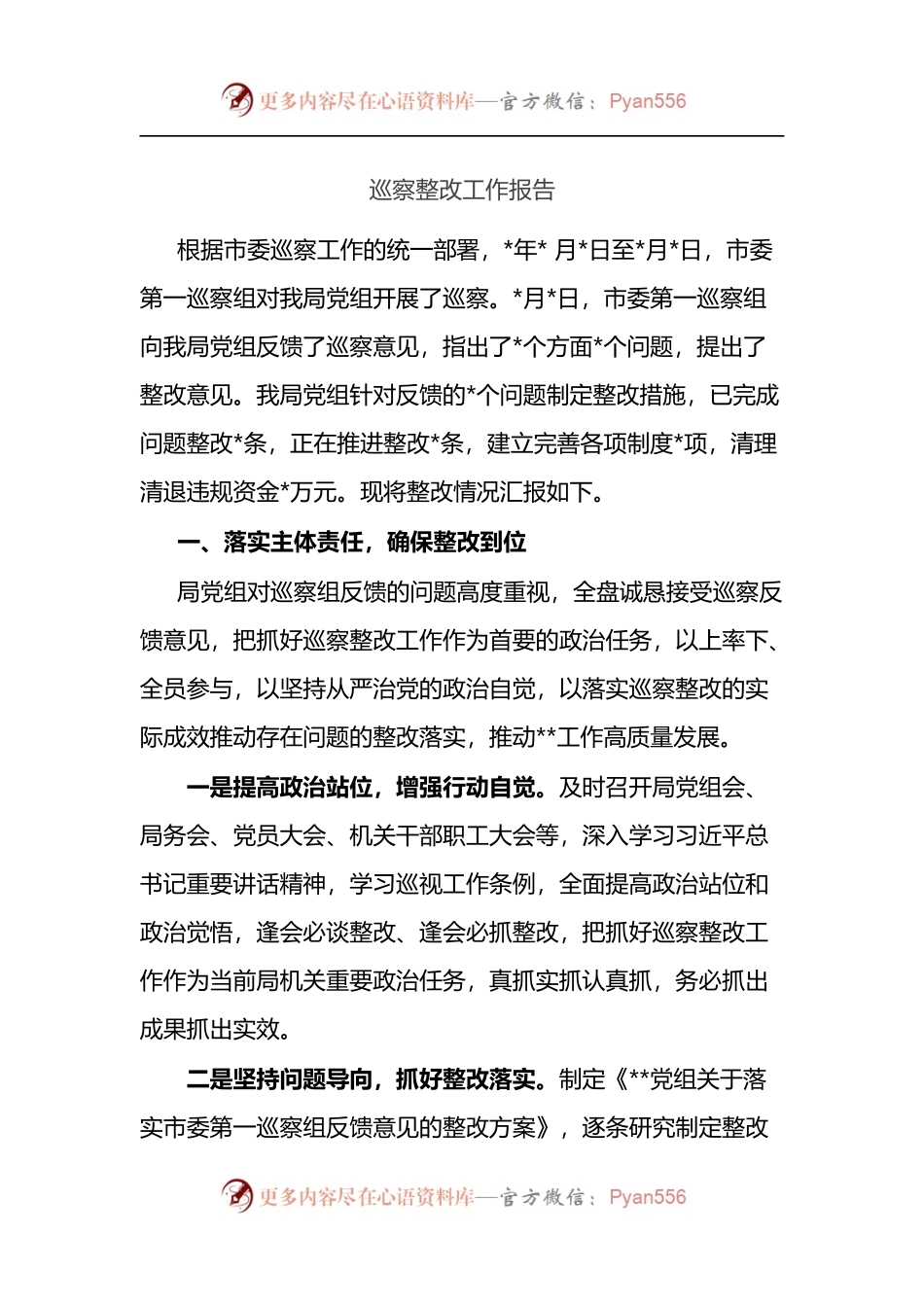 巡察整改工作报告.docx_第1页