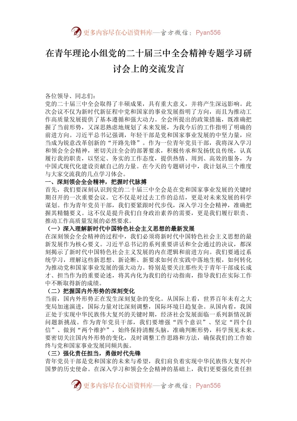 在青年理论小组党的二十届三中全会精神专题学习研讨会上的交流发言.docx_第1页