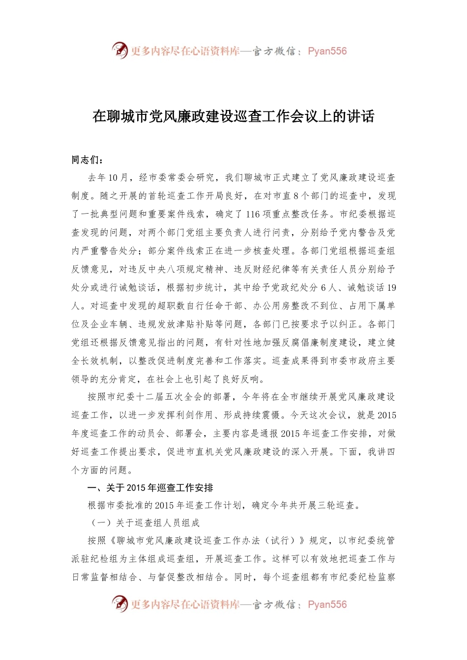 在聊城市党风廉政建设巡查工作会议上的讲话.docx_第1页