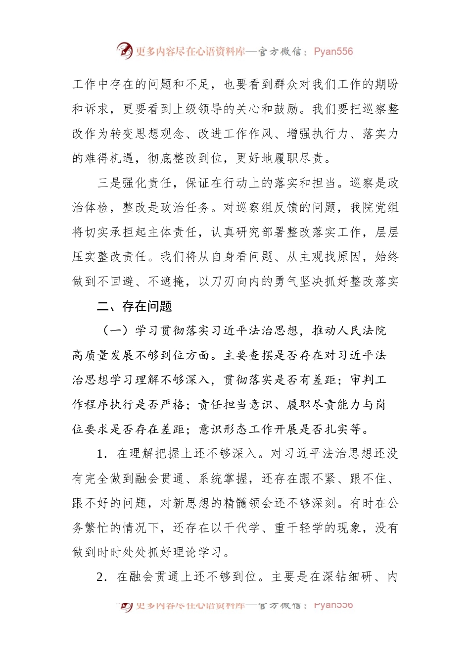 巡察整改专题民主生活会个人对照检查材料（法院院长）.docx_第2页