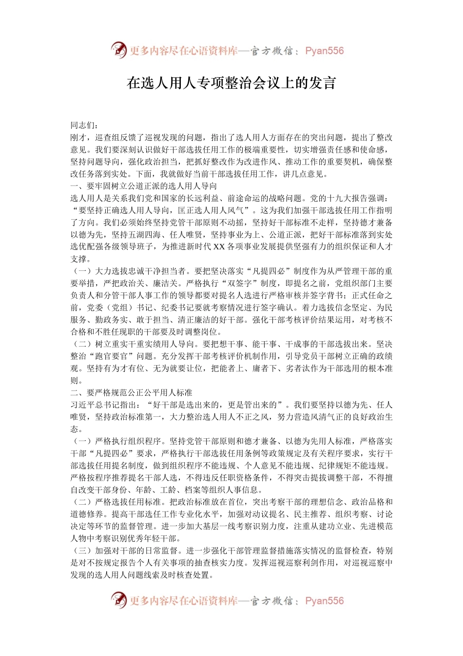 在选人用人专项整治会议上的发言.docx_第1页