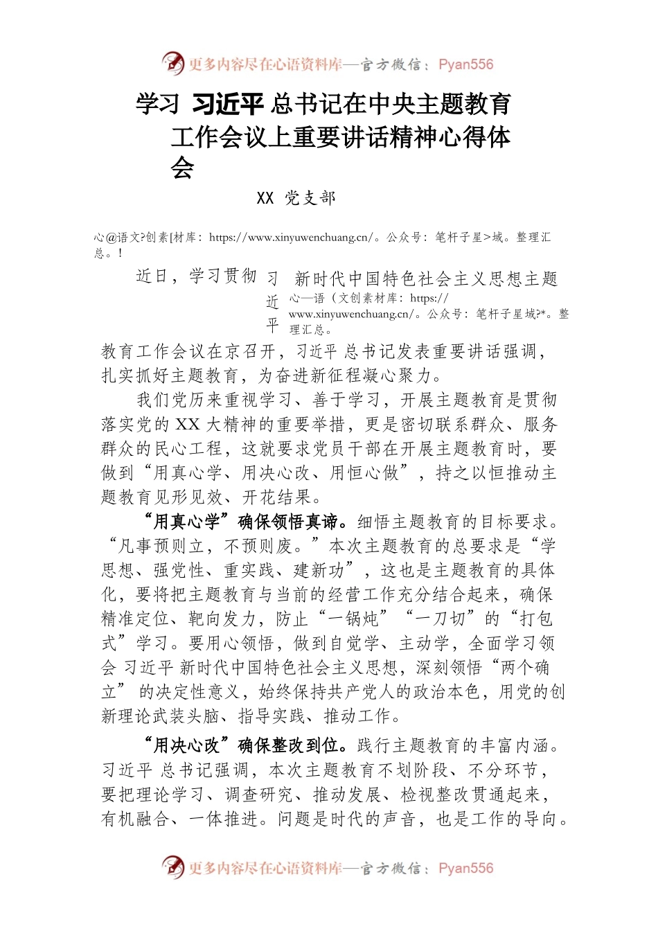 学习XXX总书记在中央主题教育工作会议上重要讲话精神心得体会（XX党支部）.docx_第1页