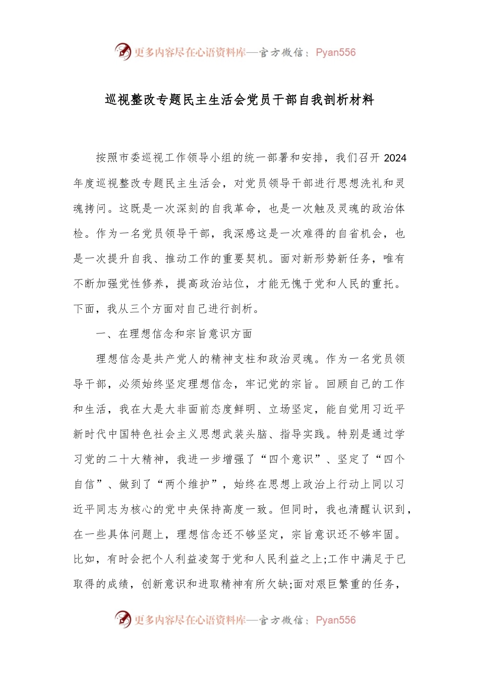 巡视整改专题民主生活会党员干部自我剖析材料.docx_第1页
