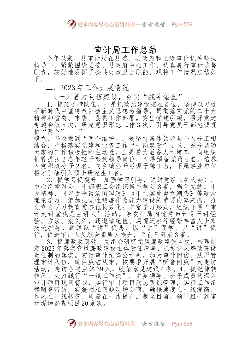 审计局工作总结.docx_第1页