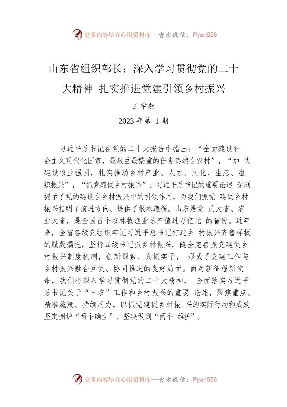 山东省组织部长：深入学习贯彻党的二十大精神 扎实推进党建引领乡村振兴.docx_第1页
