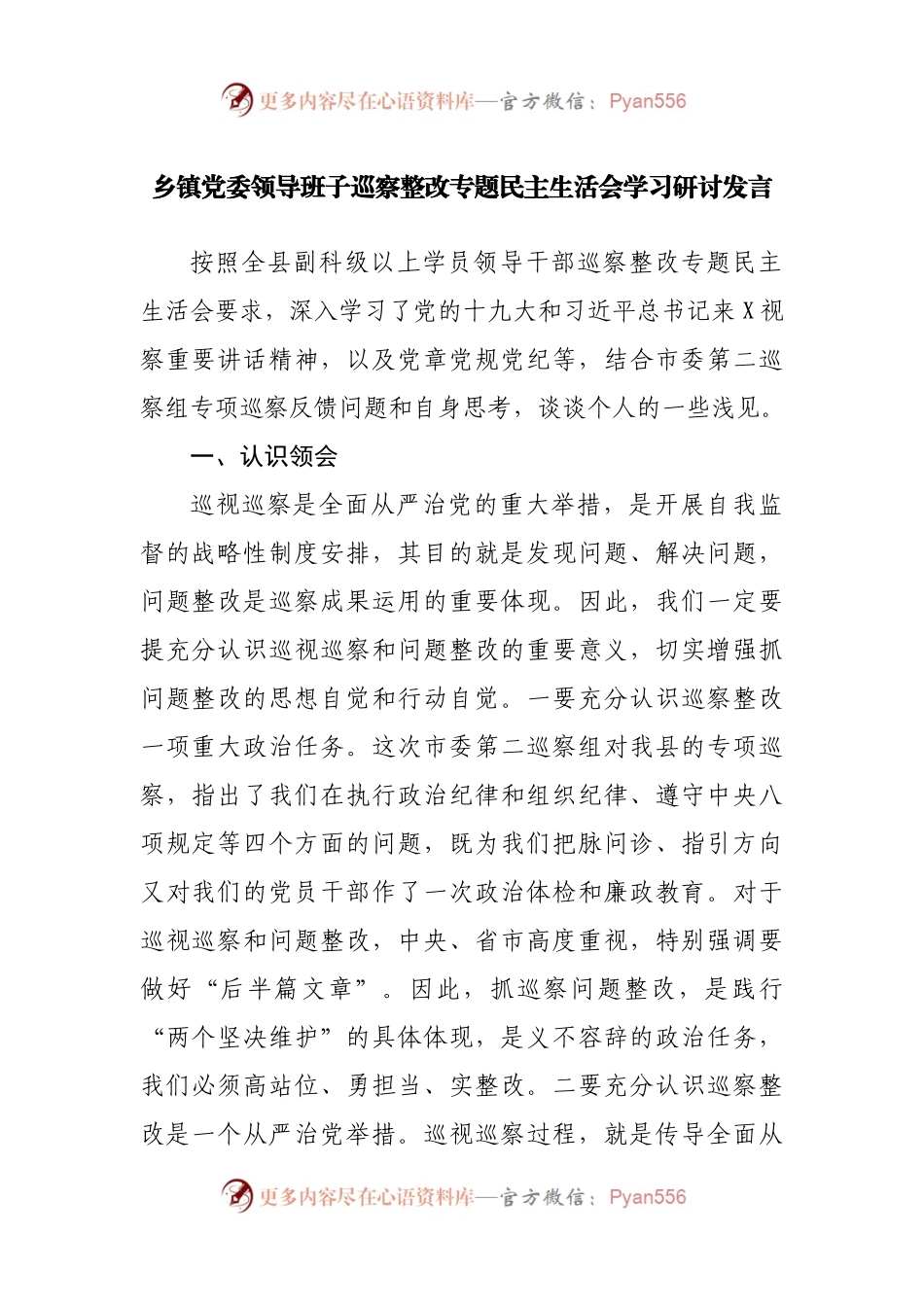 巡察整改专题民主生活会学习研讨发言.docx_第1页