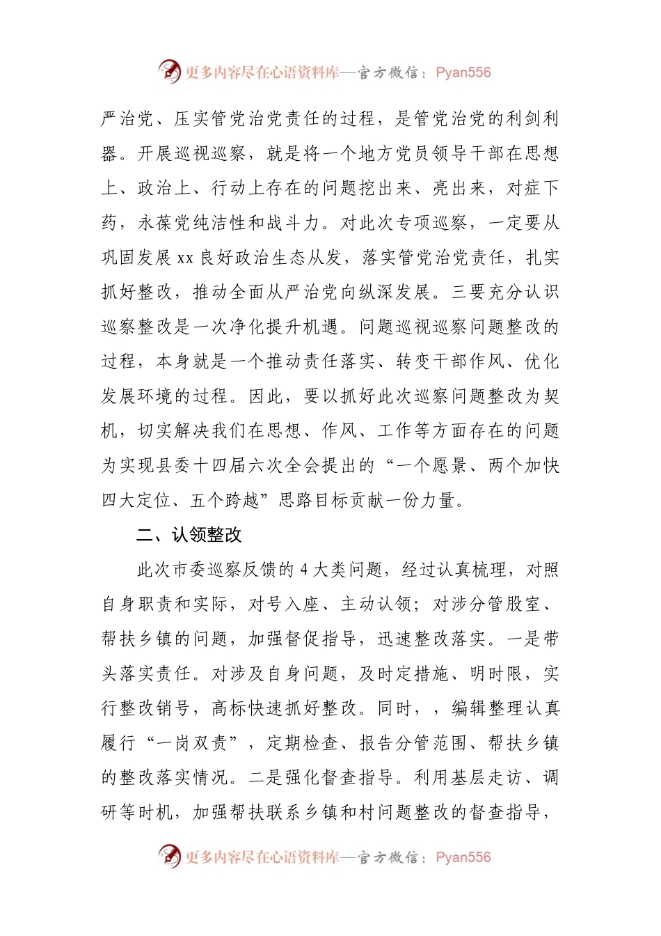 巡察整改专题民主生活会学习研讨发言.docx_第2页