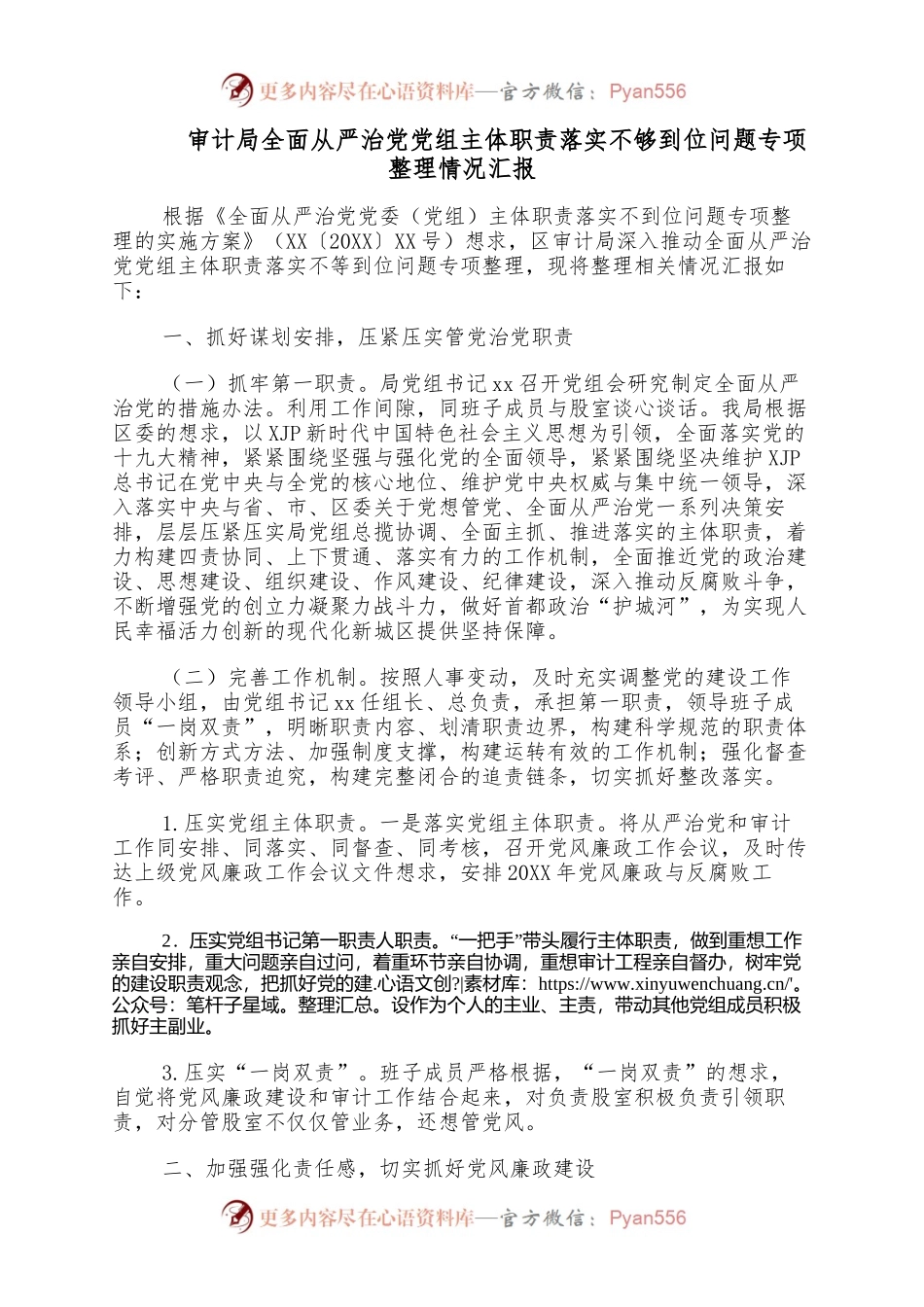 审计局全面从严治党党组主体职责落实不够到位问题专项整理情况汇报.docx_第1页