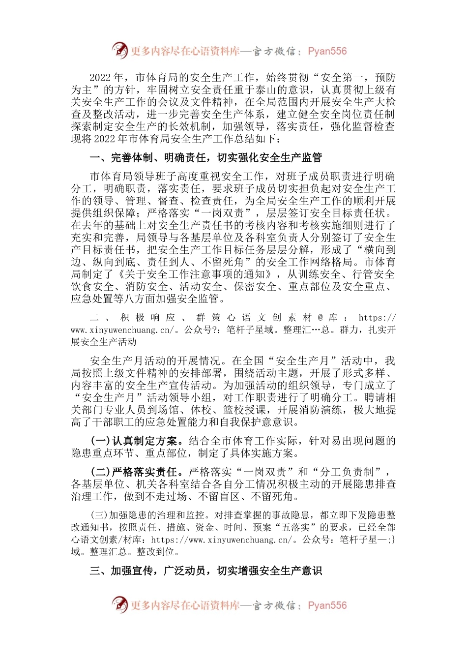 市体育局安全生产工作汇报.docx_第1页