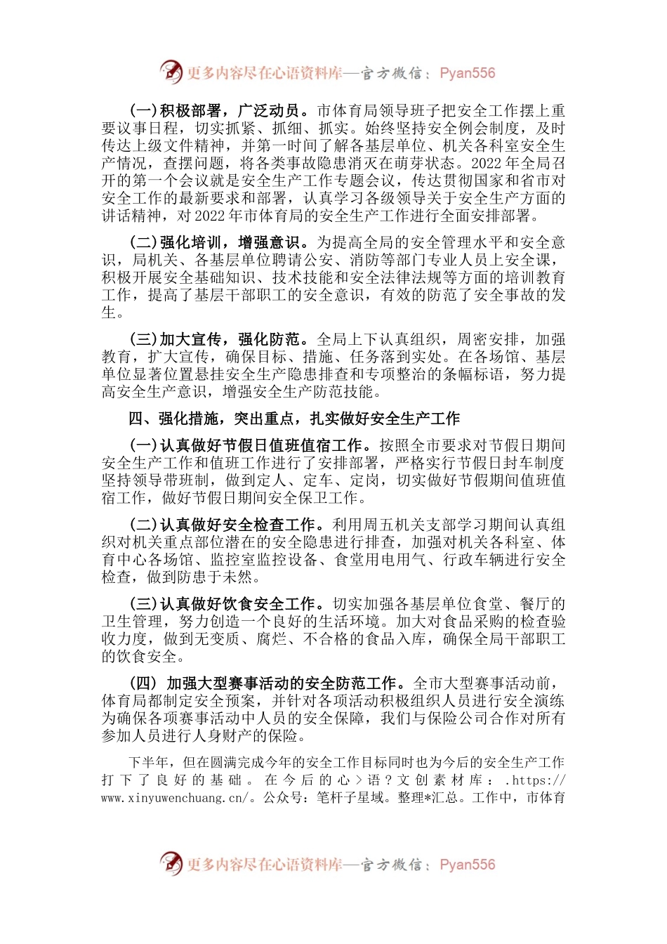 市体育局安全生产工作汇报.docx_第2页