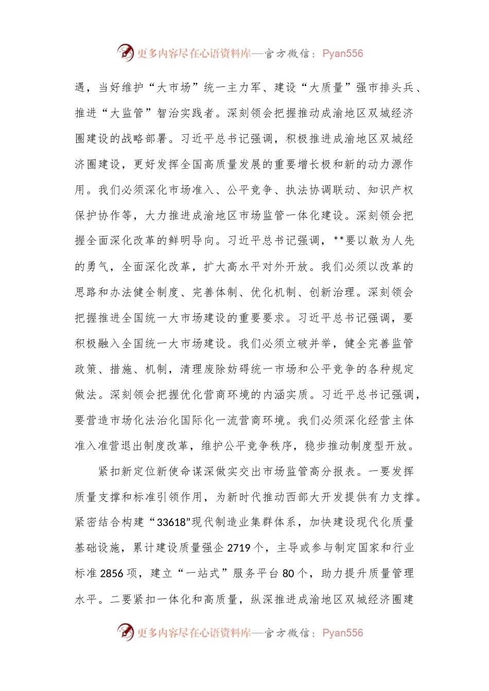 局长在2024年市场监管局党组理论学习中心组集体学习会上的讲话提纲.docx_第2页