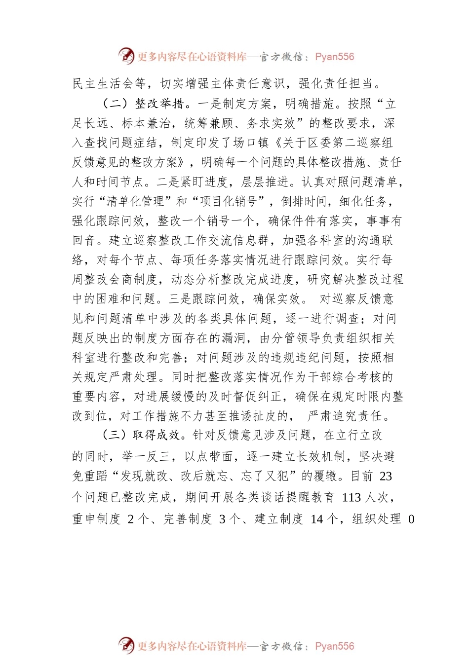 场口镇党委巡察“回头看”整改情况报告.docx_第2页
