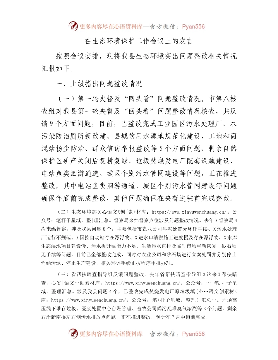 在生态环境保护工作会议上的发言.docx_第1页