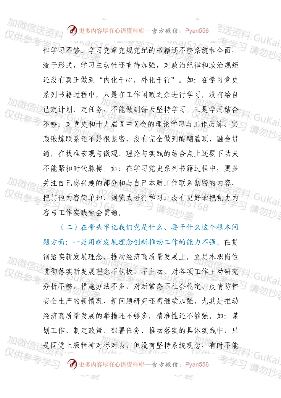 工业园区管委会副主任年末专题民主生活会个人对照检查（五个带头）.docx_第2页