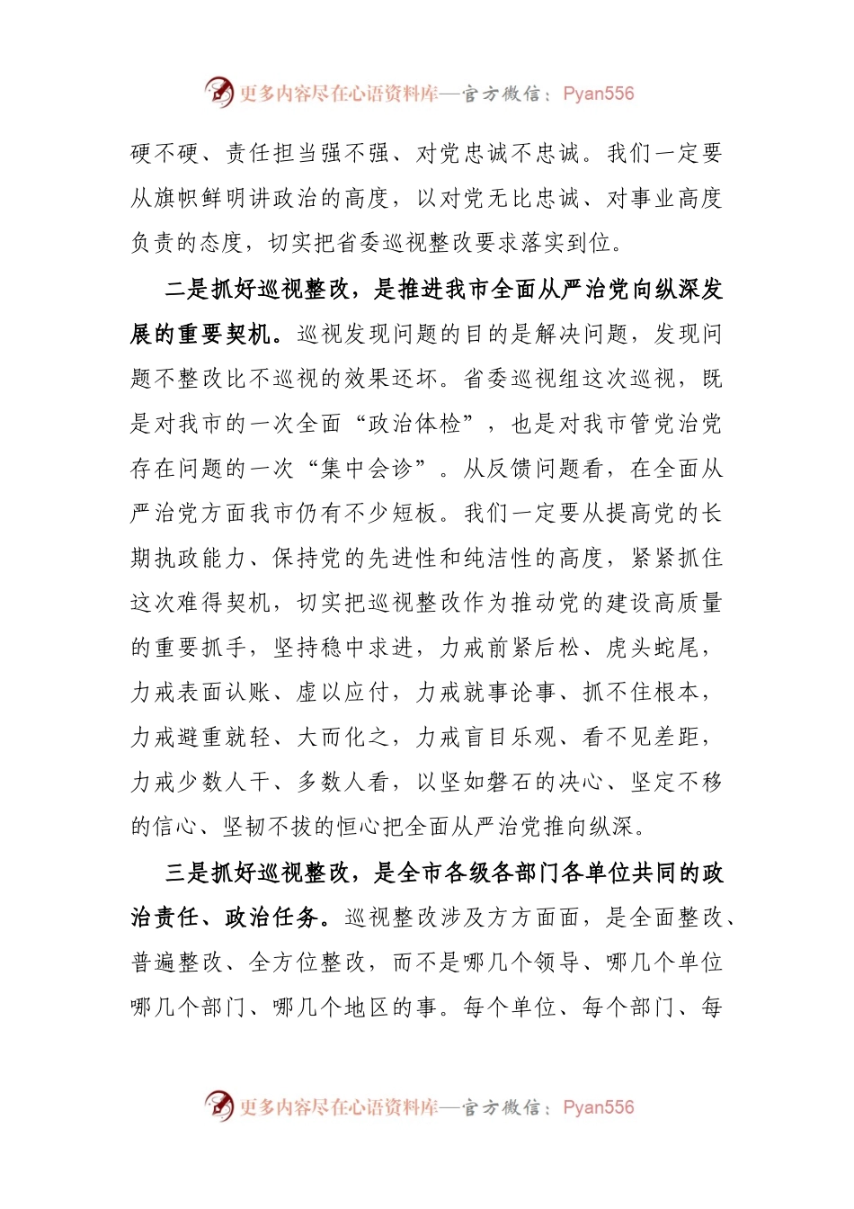 巡视整改动员会议上的讲话.docx_第2页