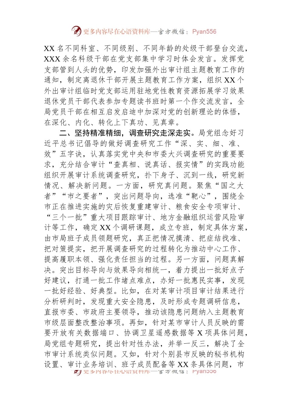 审计局在巡回指导组主题教育总结评估座谈会上的汇报发言.docx_第2页