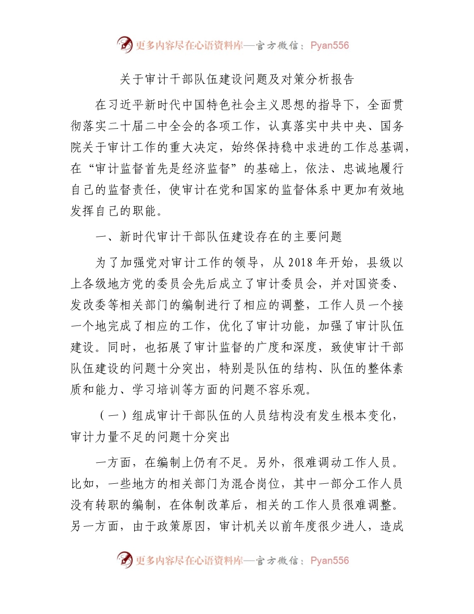 审计干部队伍建设问题及对策分析报告（调研报告参考）.docx_第1页