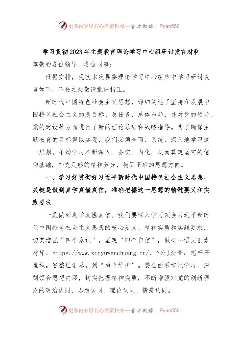 学习贯彻2023年主题教育理论学习中心组研讨发言材料.docx_第1页