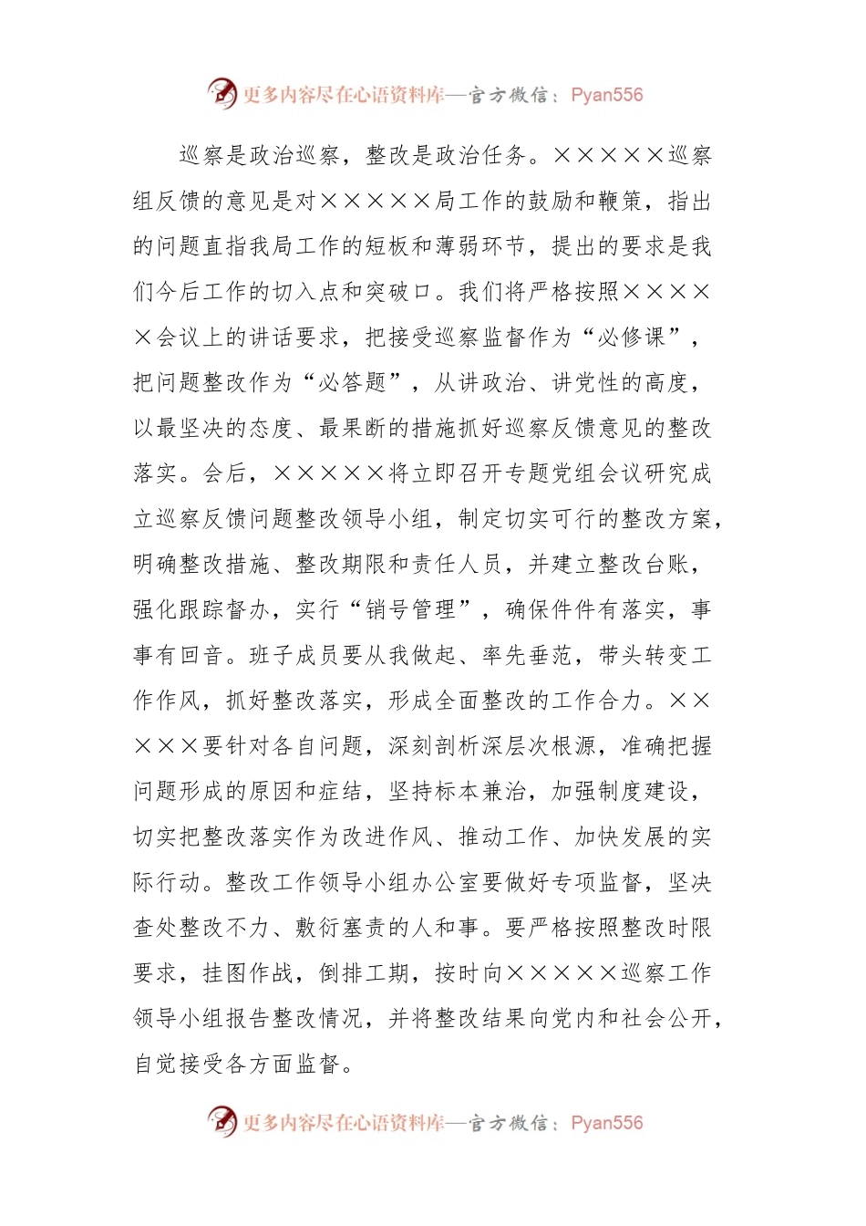 巡察反馈会议表态发言.docx_第2页