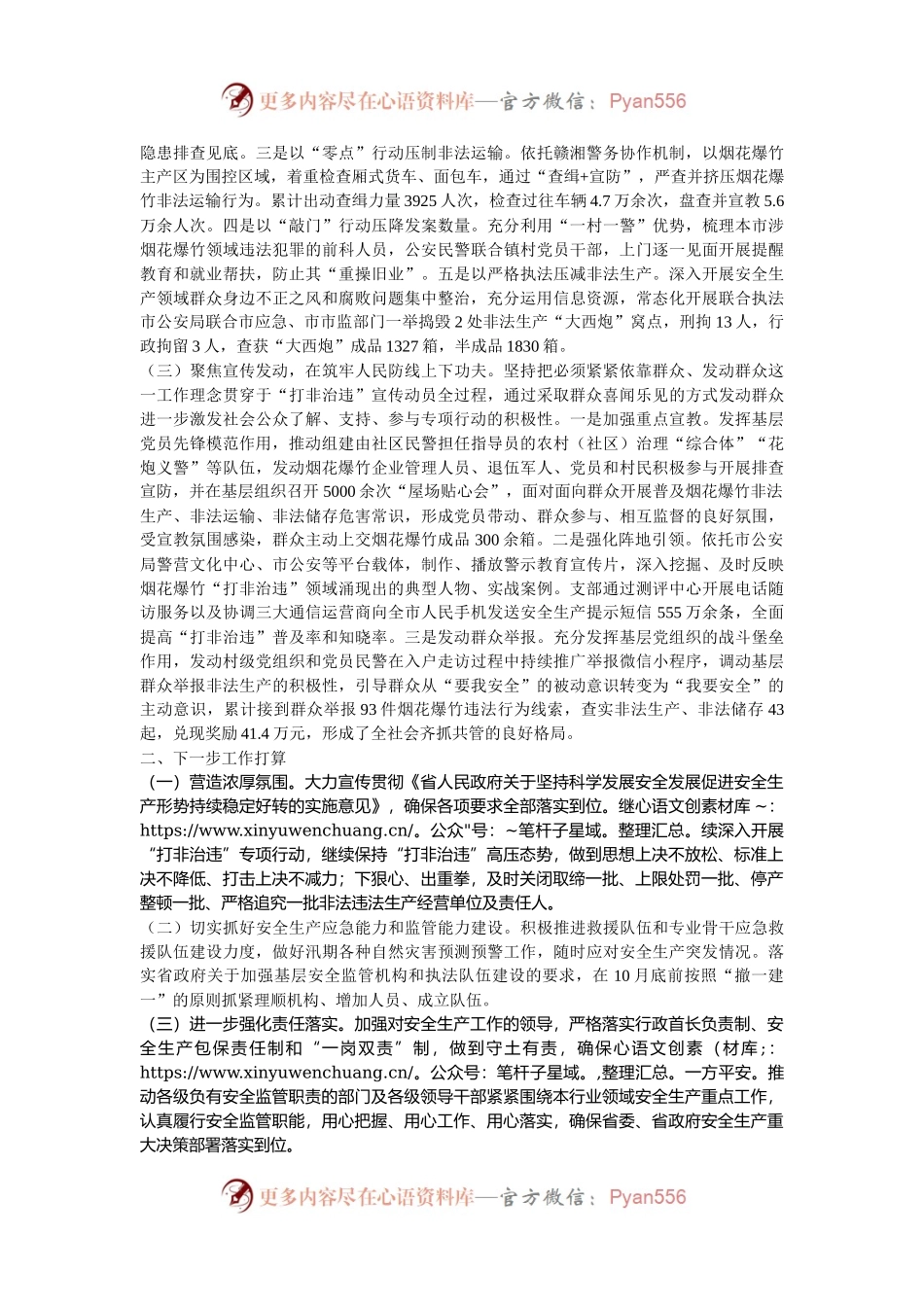 市公安局关于推进安全生产“打非治违”专项行动工作情况的报告.docx_第2页