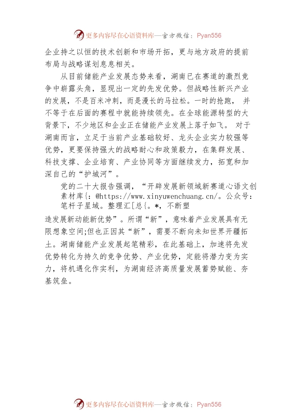 将先发优势转化为持久的竞争优势.docx_第2页