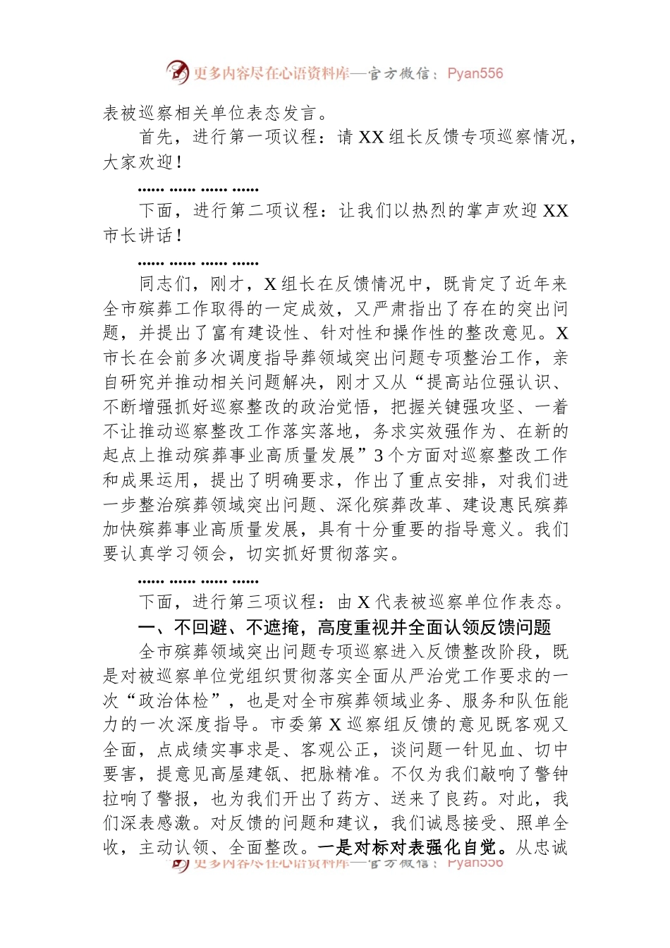 在殡葬领域突出问题治理暨专项巡察反馈会上的表态发言.docx_第2页