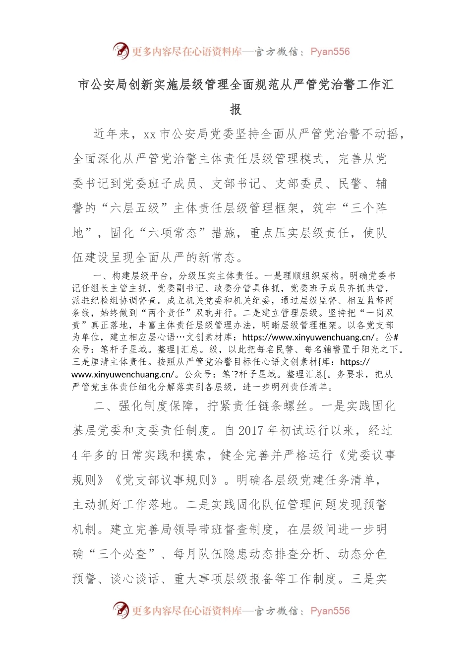 市公安局创新实施层级管理全面规范从严管党治警工作汇报.docx_第1页