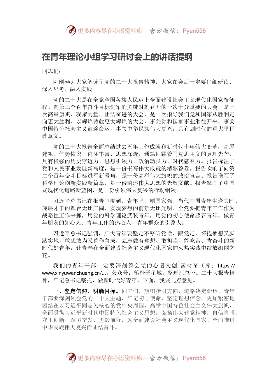 在青年理论小组学习研讨会上的讲话提纲.docx_第1页