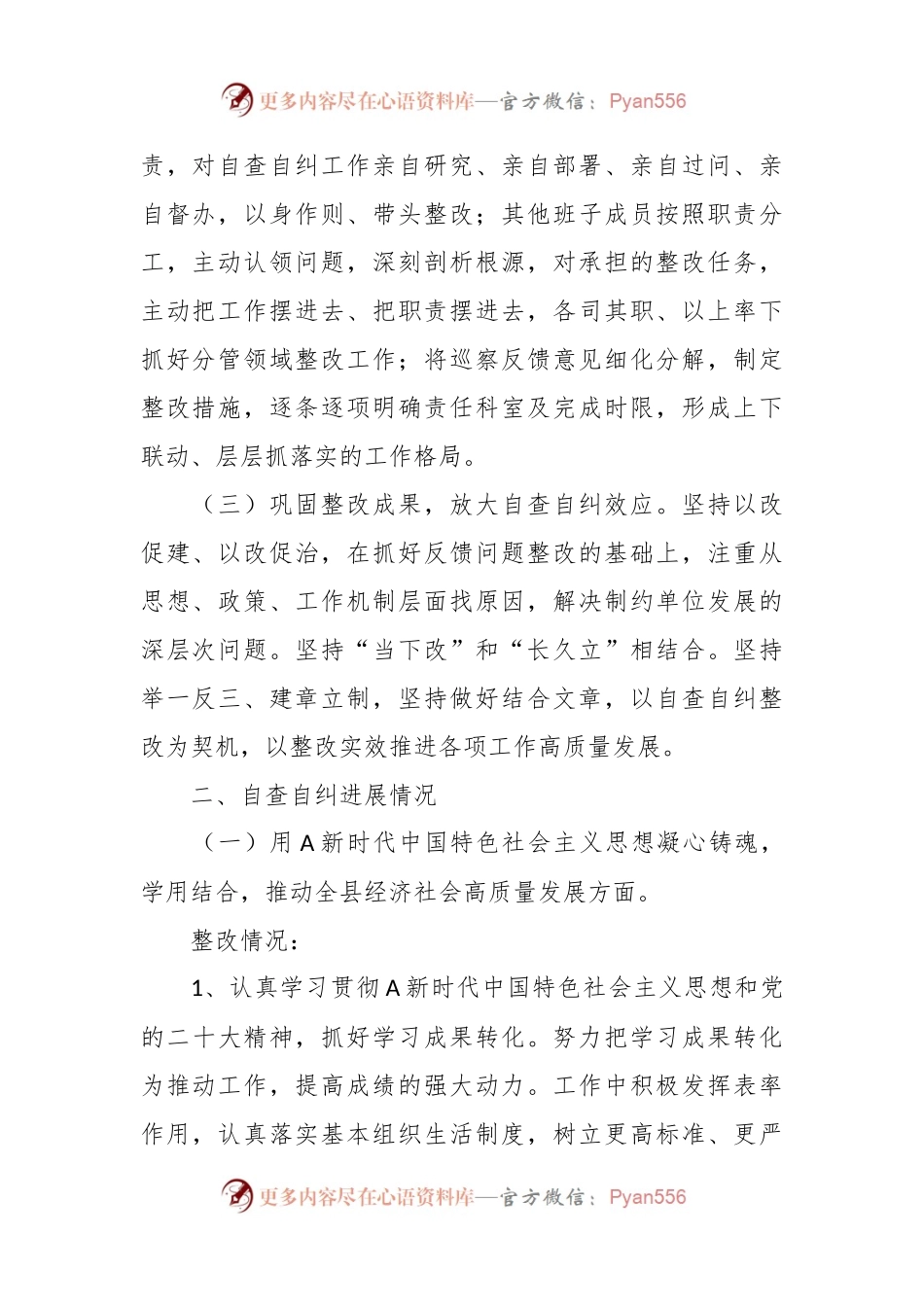 巡察成果运用整改自查自纠情况总结报告.docx_第2页