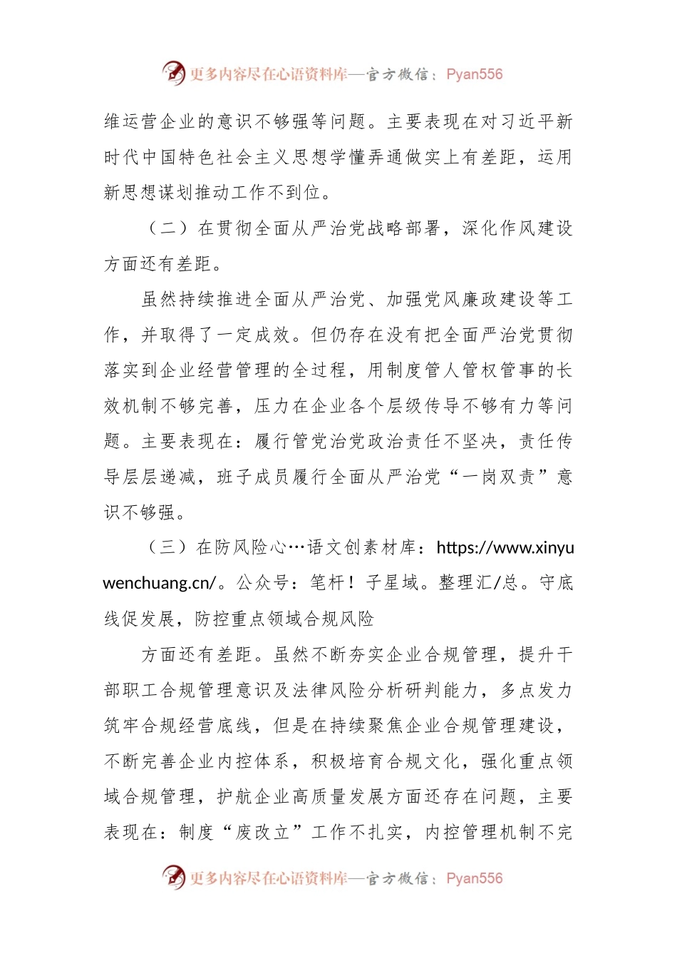 巡察整改专题民主生活会对照检查材料（2）.docx_第2页