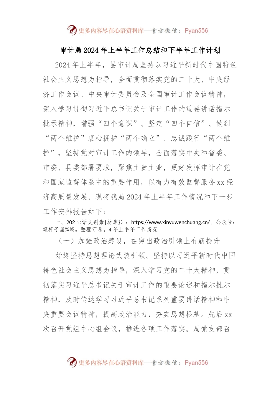 审计局2024年上半年工作总结和下半年工作计划.docx_第1页