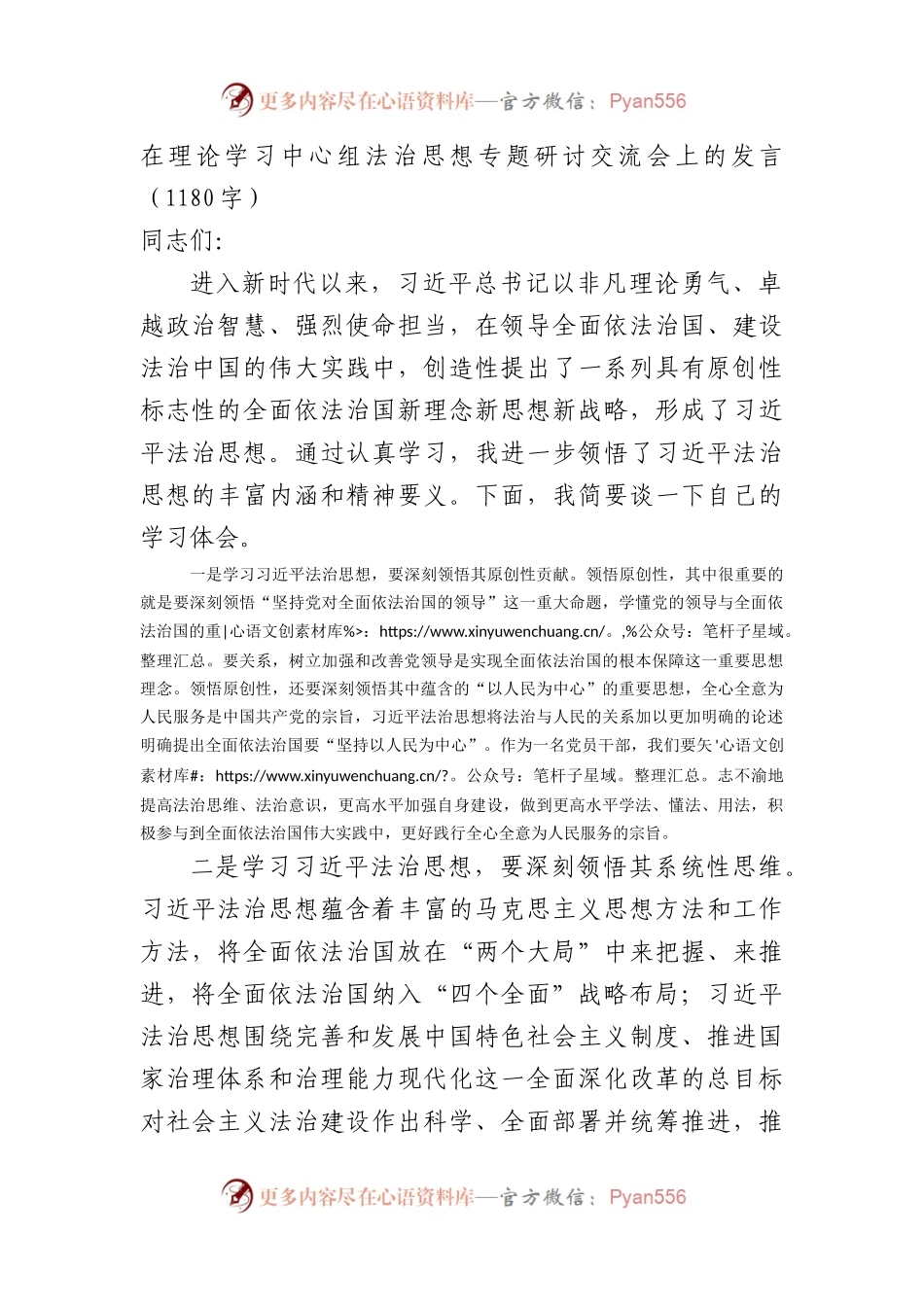 在理论学习中心组法治思想专题研讨交流会上的发言.docx_第1页