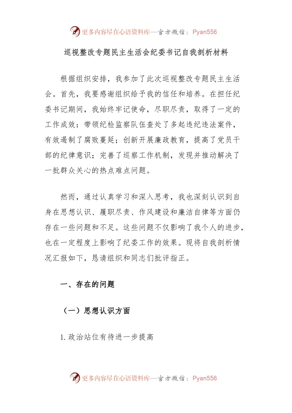 巡视整改专题民主生活会纪委书记自我剖析材料.docx_第1页