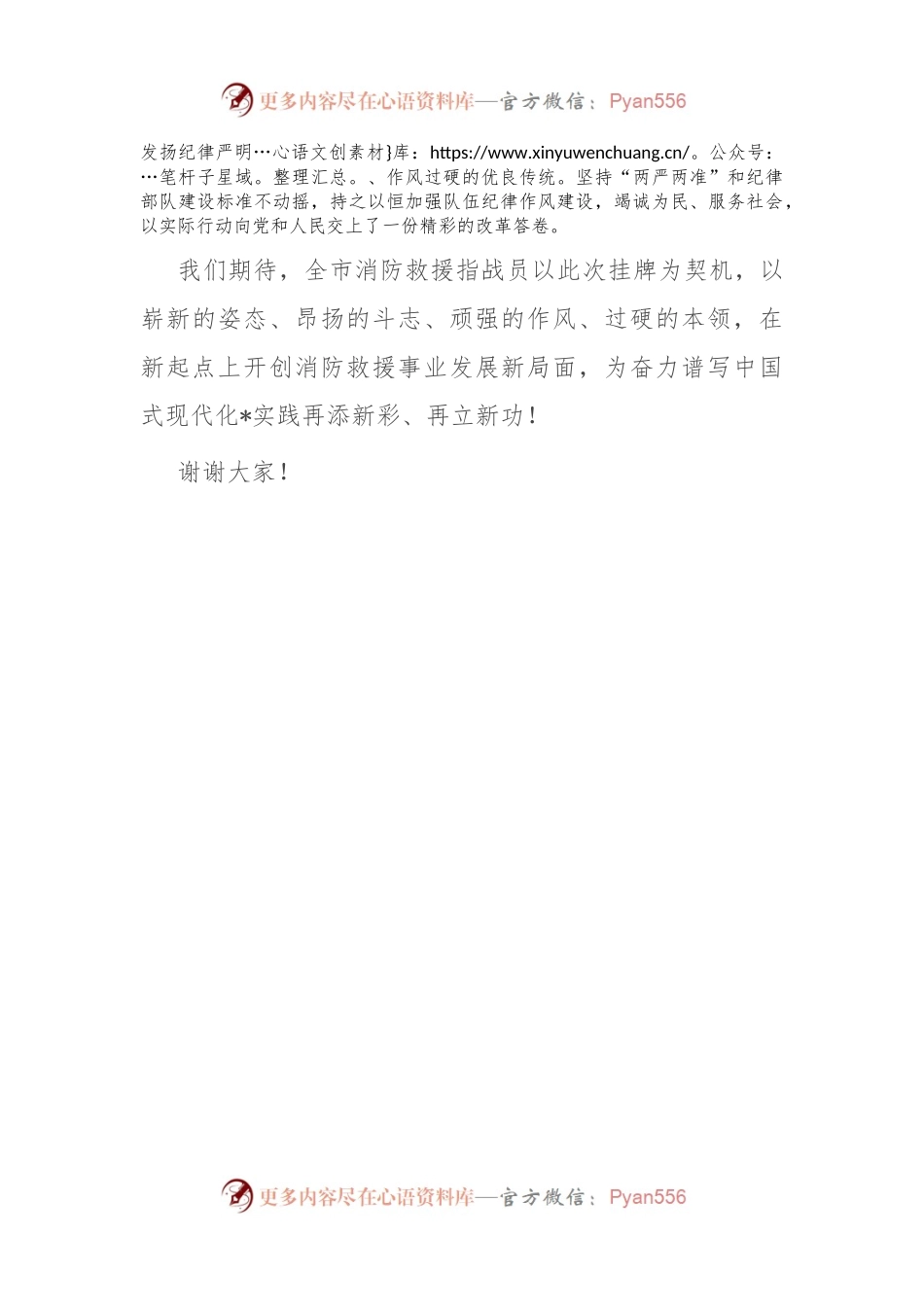 在某市消防救援支队加挂“消防救援局”牌子仪式上的讲话.docx_第2页