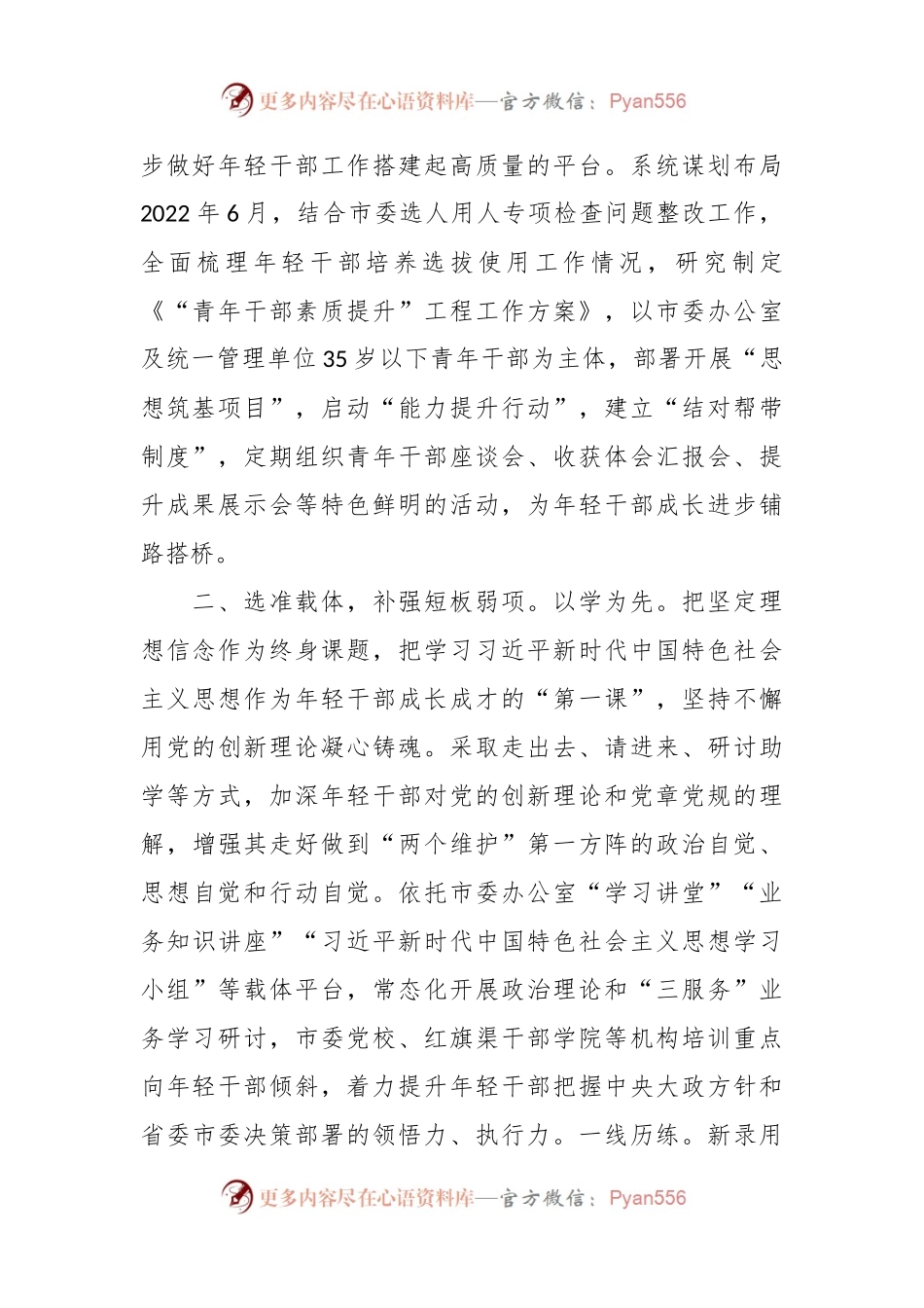 在青年干部素质提升工作座谈会上的发言稿.docx_第2页