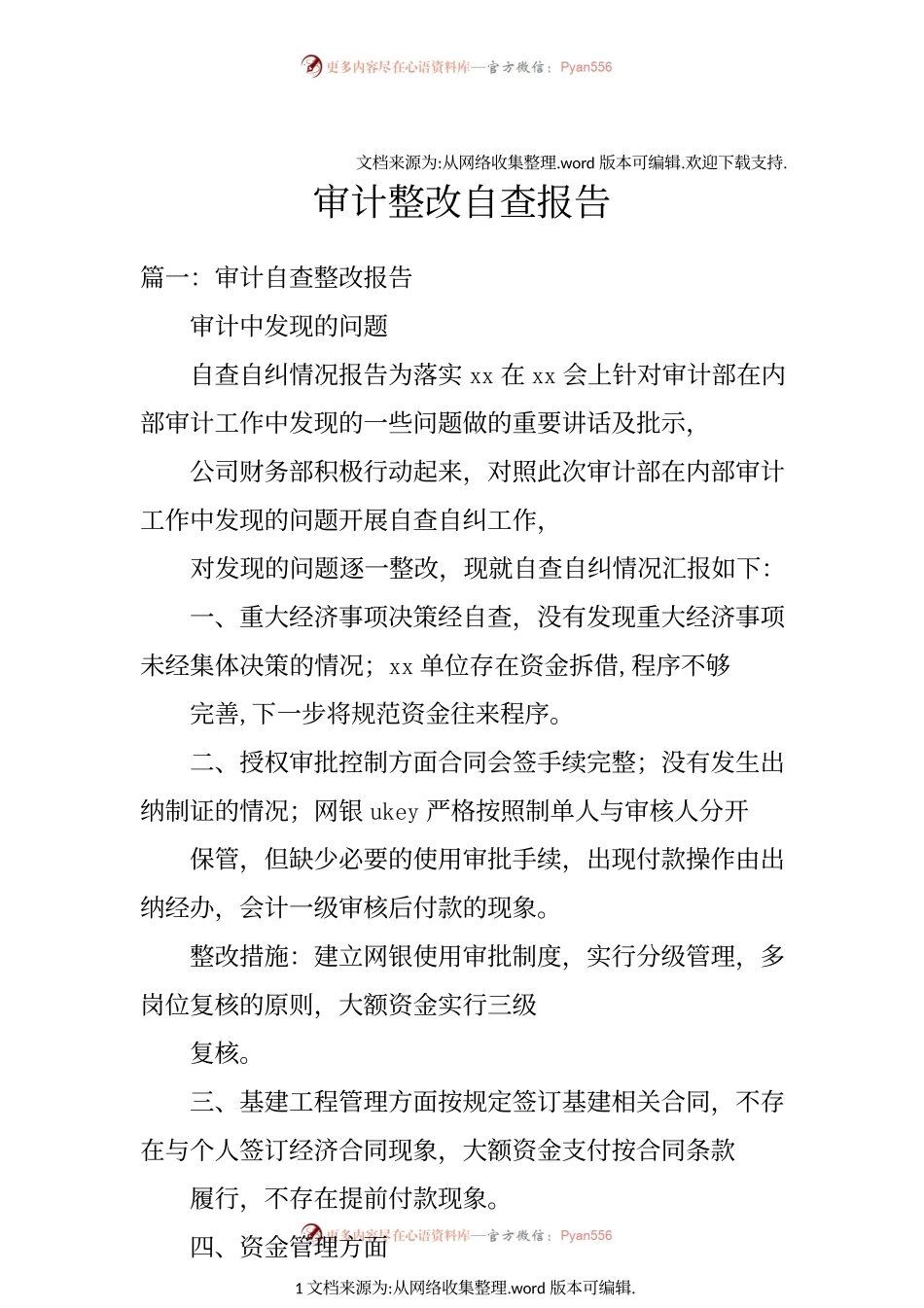 审计整改自查报告doc.docx_第1页