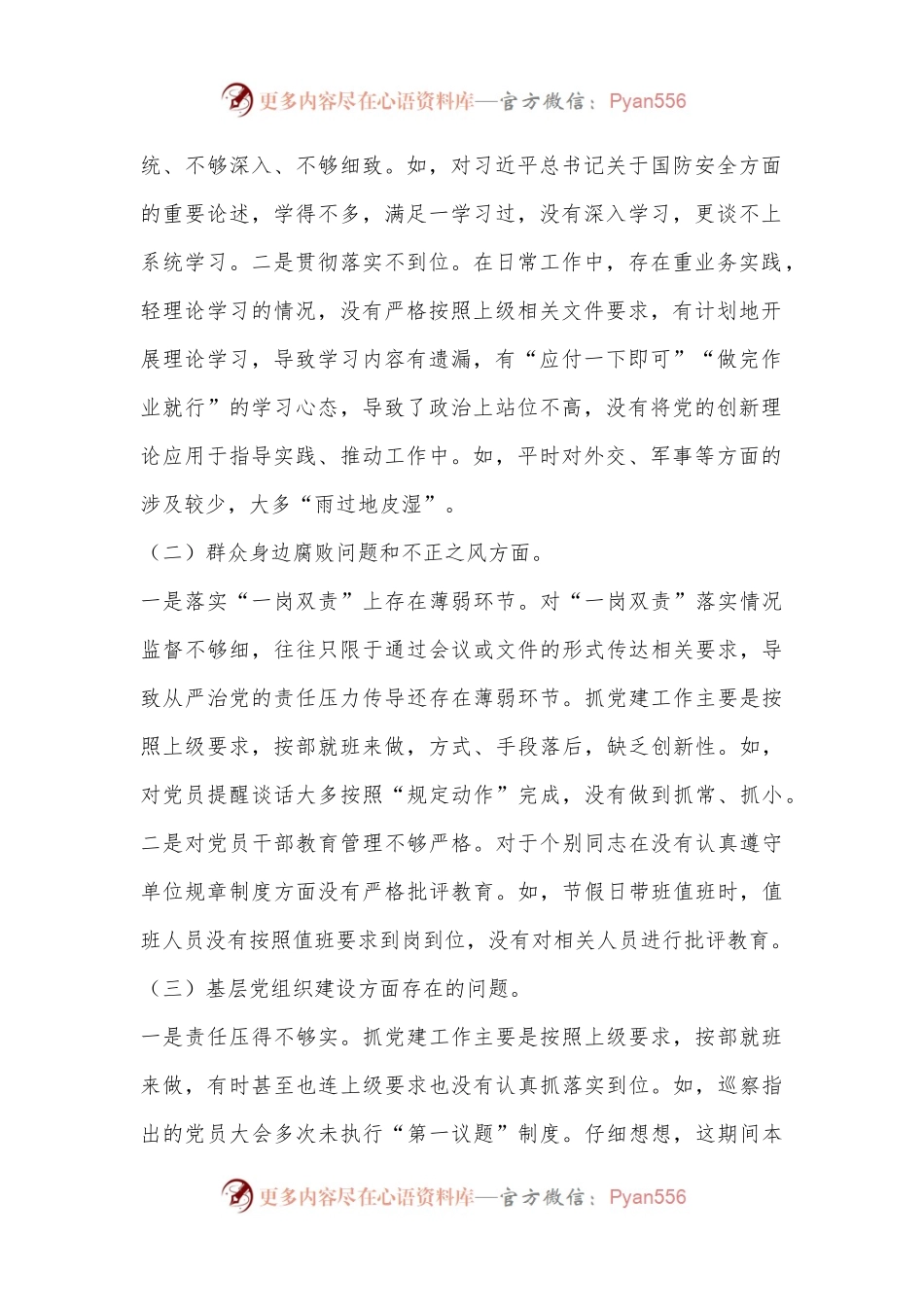 巡察整改民主生活会 对照检查.docx_第2页