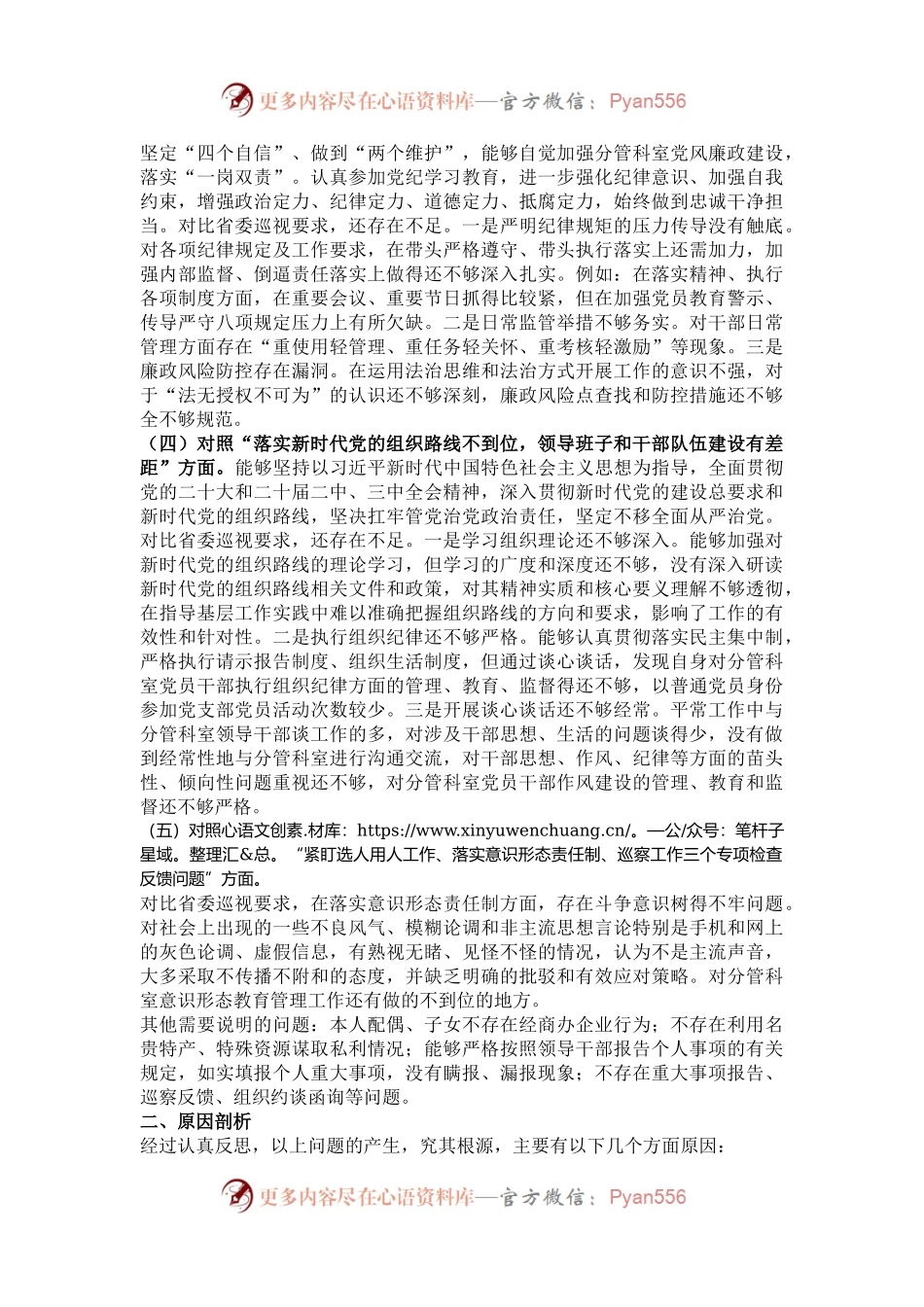 巡视整改民主生活会个人对照检查材料.docx_第2页