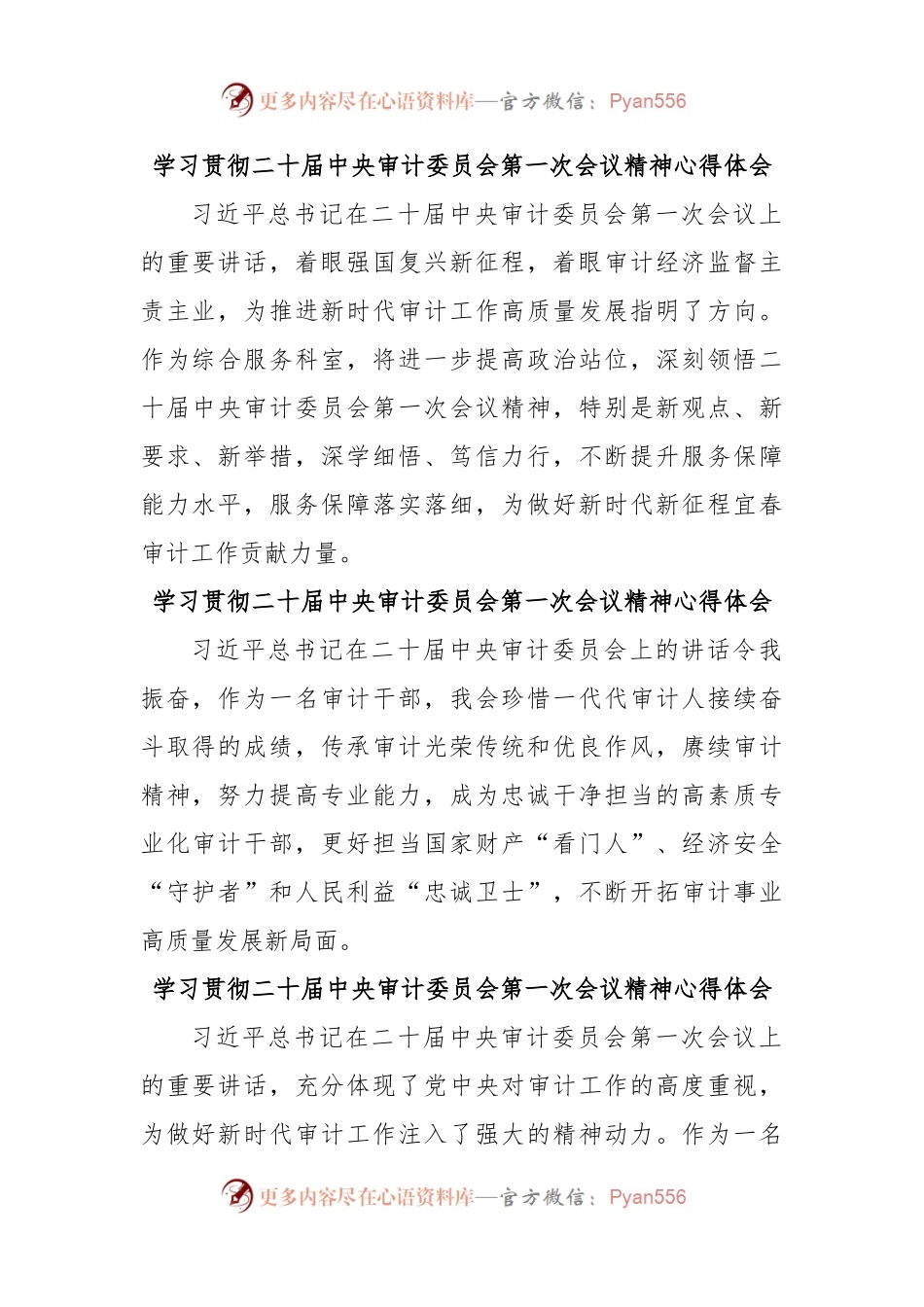 学习贯彻二十届中央审计委员会第一次会议精神心得体会.docx_第1页