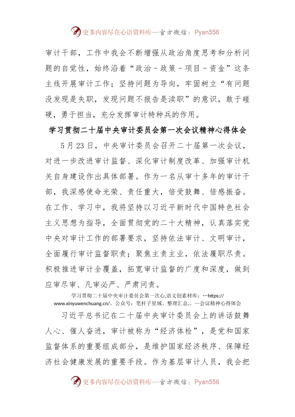 学习贯彻二十届中央审计委员会第一次会议精神心得体会.docx_第2页