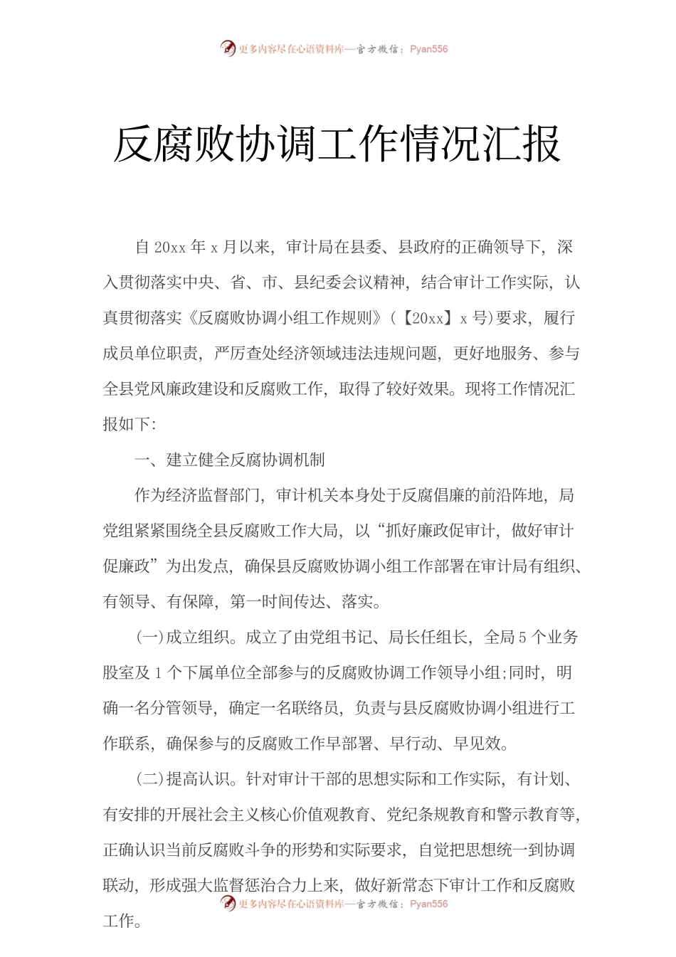 审计局反腐败协调工作情况汇报.docx_第1页