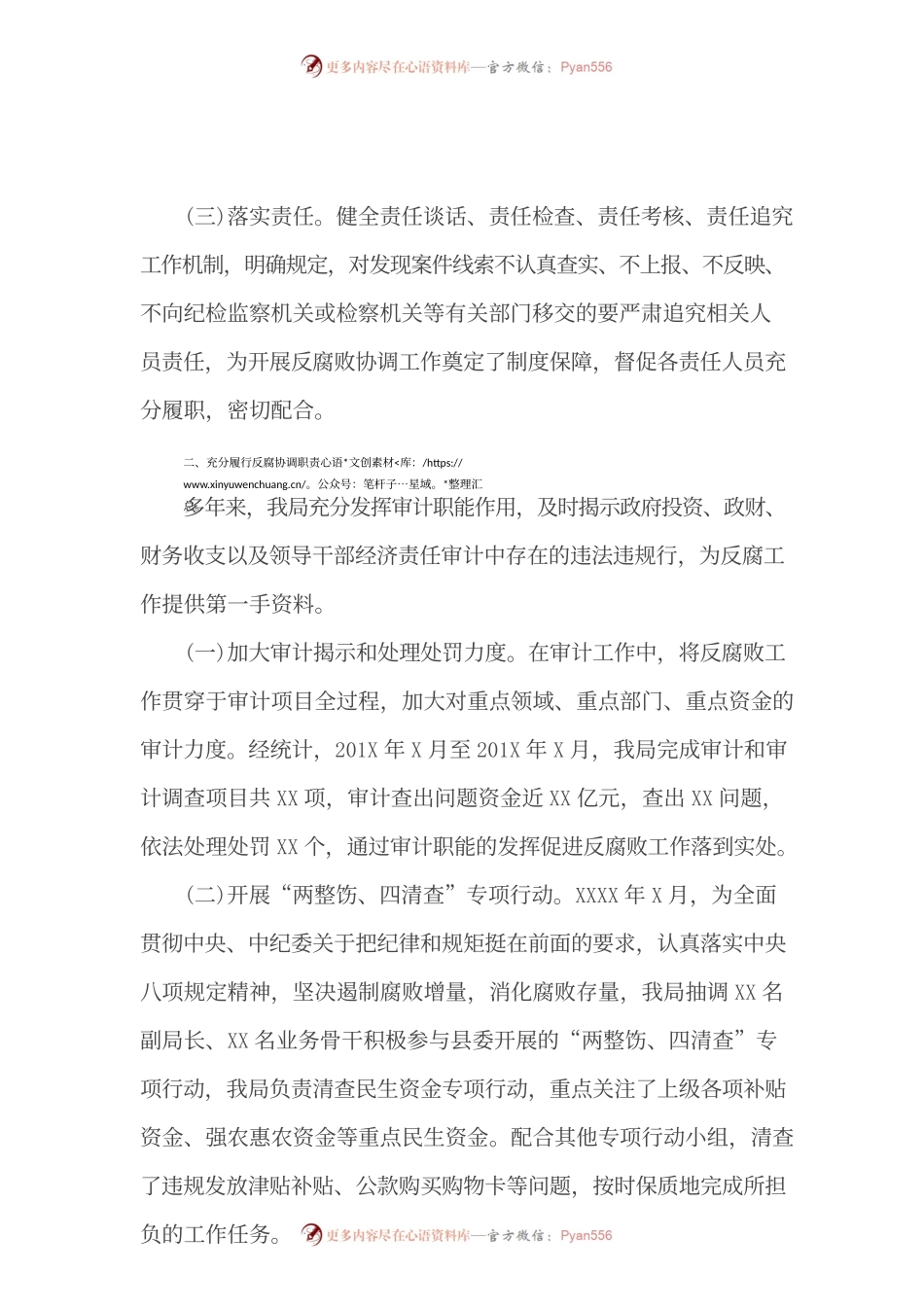 审计局反腐败协调工作情况汇报.docx_第2页